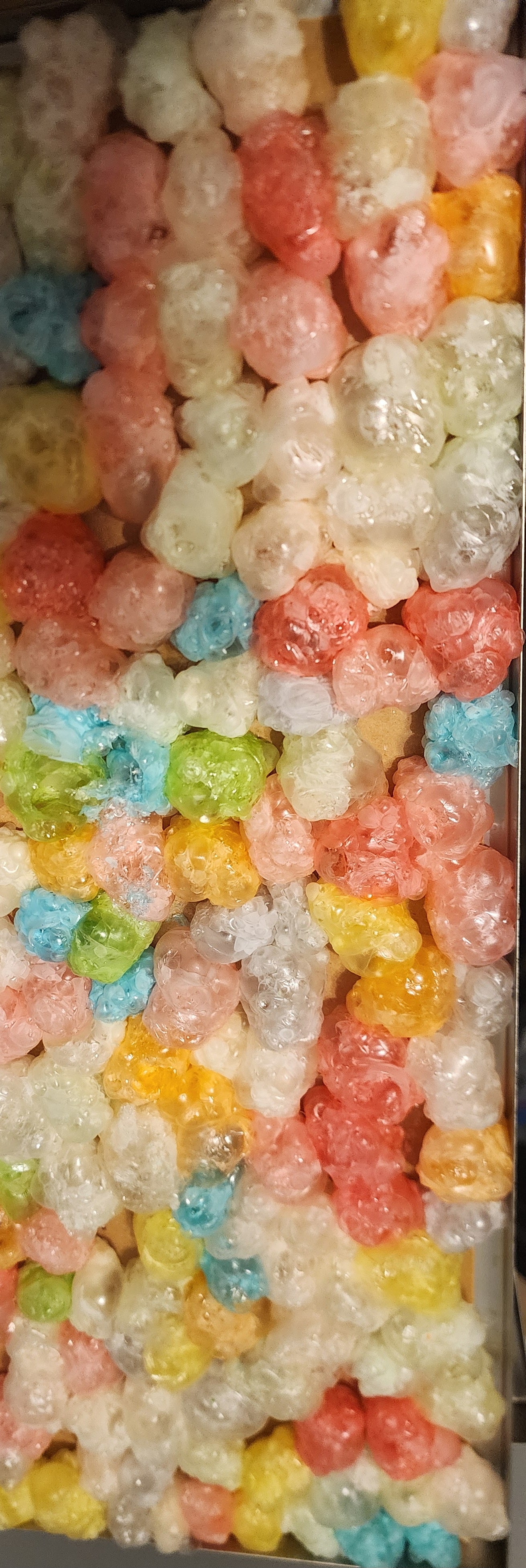 Freeze Dried Gummy Bears