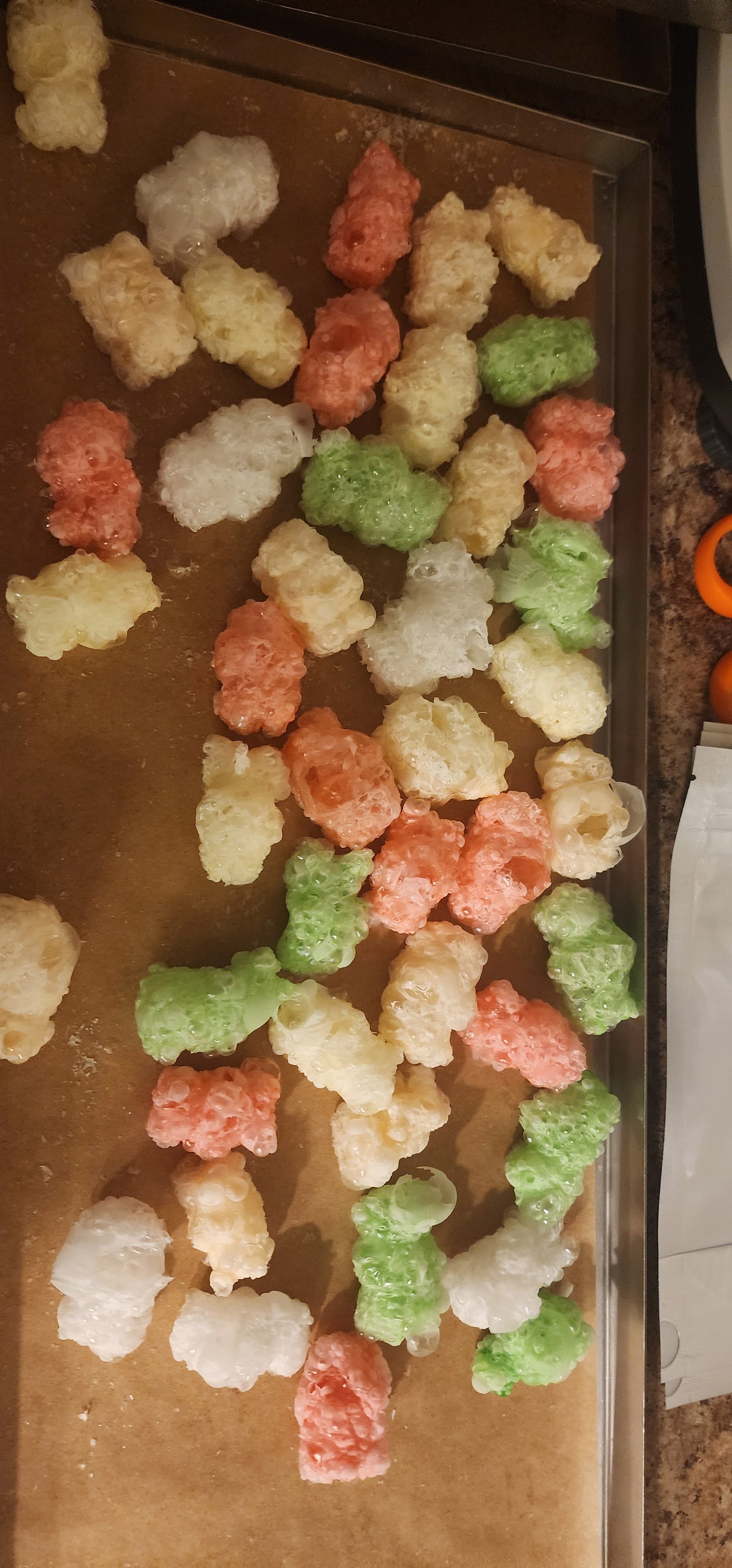 Freeze Dried Gummy Bears